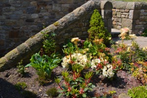 Garden designers in Lancashire